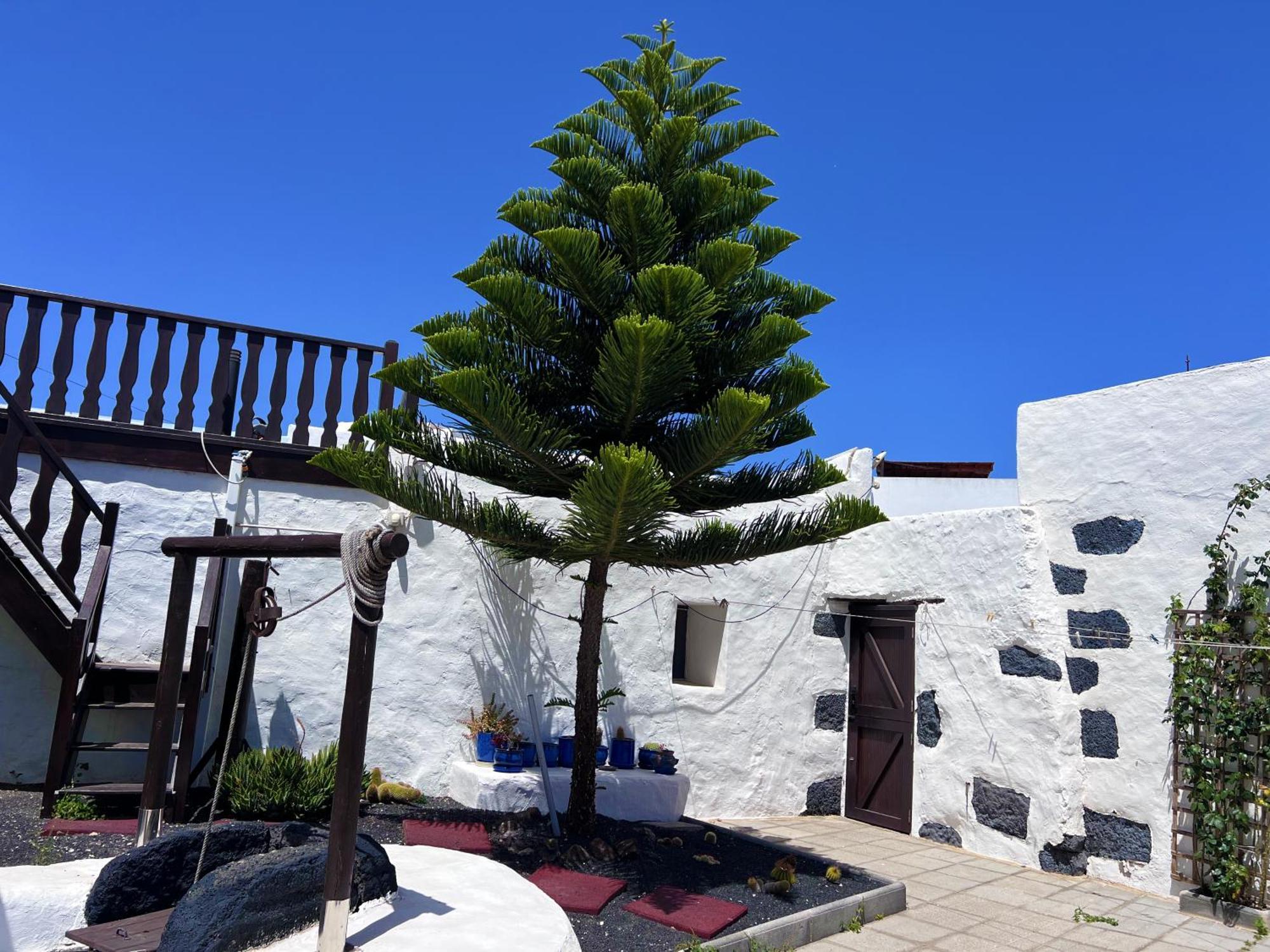San Bartolomé Casa Rural Estilo Canario 빌라 외부 사진