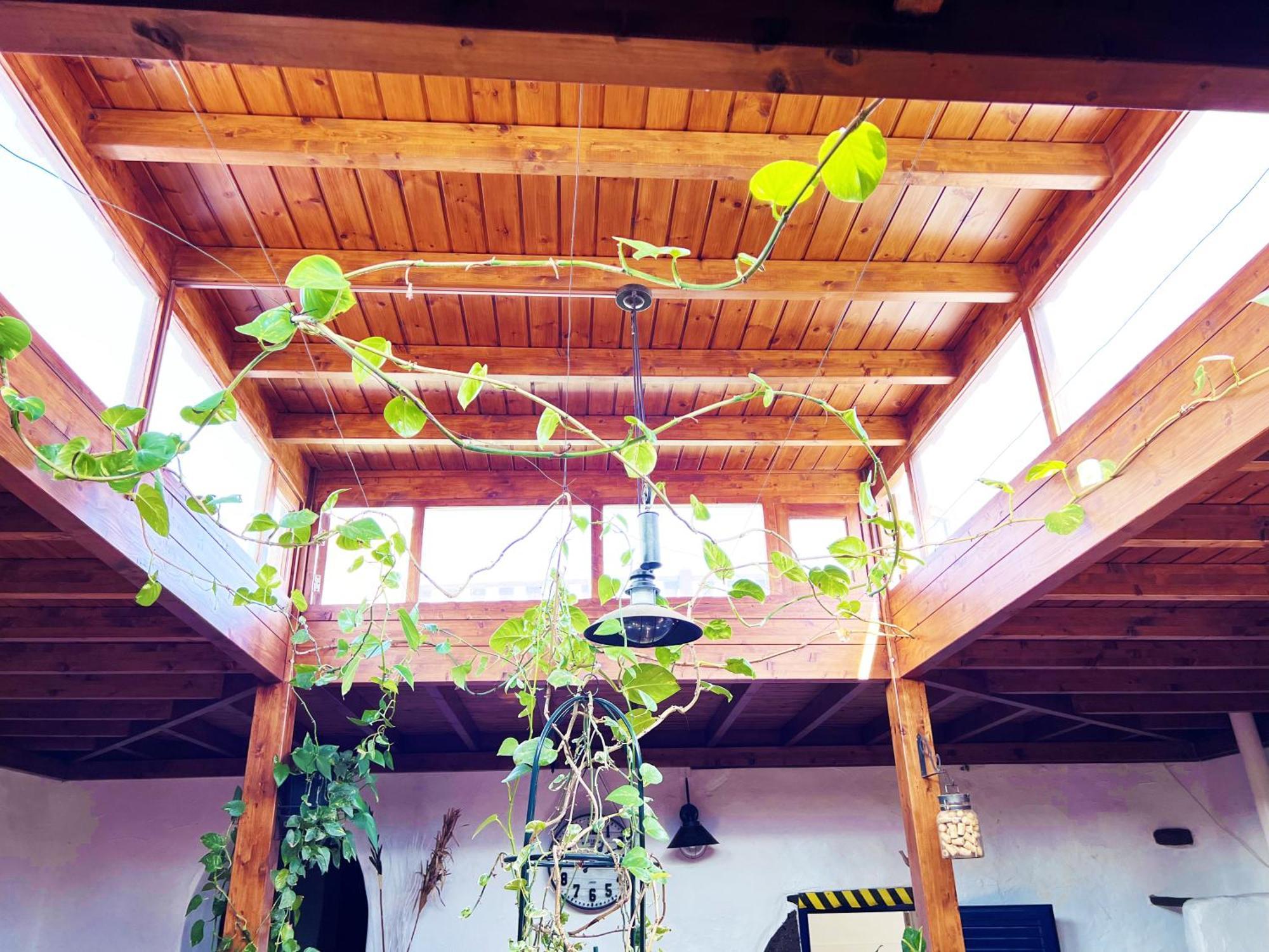 San Bartolomé Casa Rural Estilo Canario 빌라 외부 사진